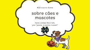 Leia mais sobre o artigo Sobre cães e mascotes #20: Notre Dame